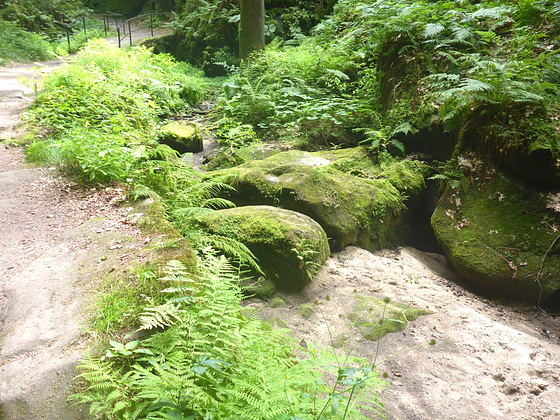 Wanderung Uttewalder Grund - Juli 2017