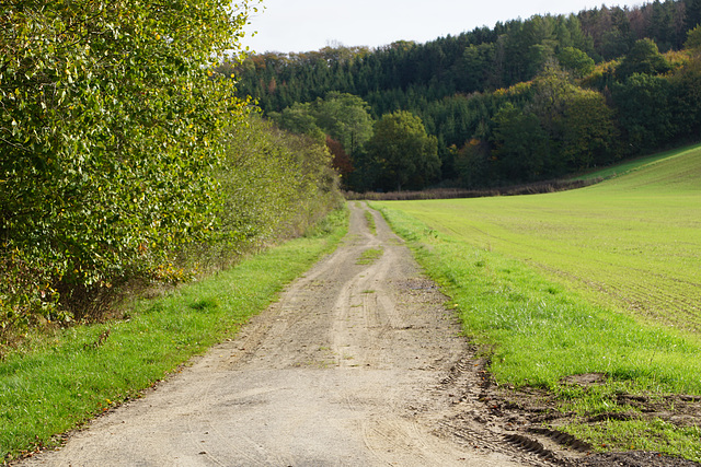 Fußweg zum Herzberger Schloss