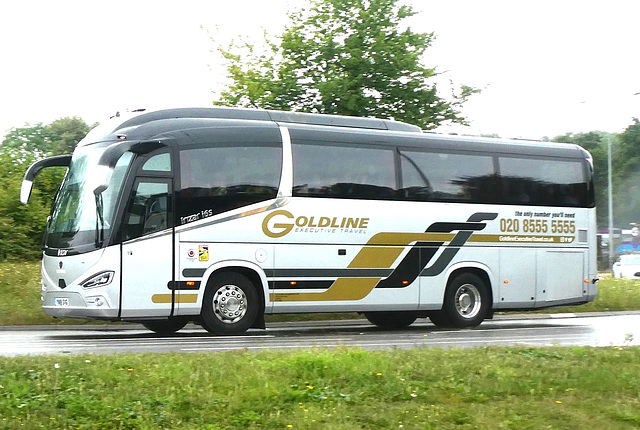 Goldline YN18 SVG in the rain at Fiveways, Barton Mills - 3 Aug 2024 (P1180993) Goldline YN18 SVG in the rain at Fiveways, Barton Mills - 3 Aug 2024 (P1180993)