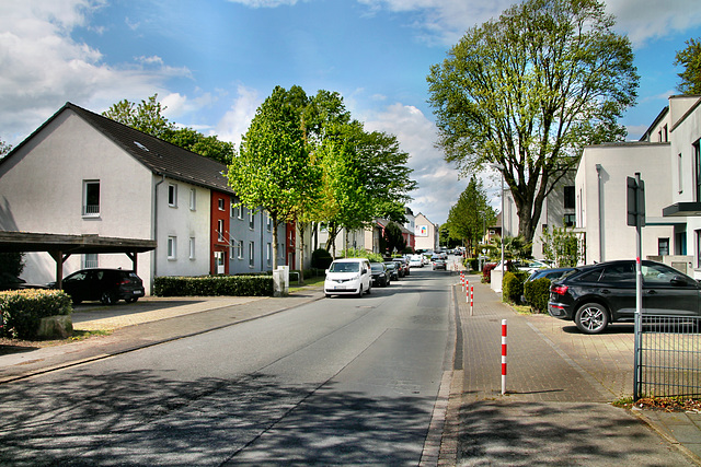 Elbestraße (Bochum-Harpen) / 27.04.2024