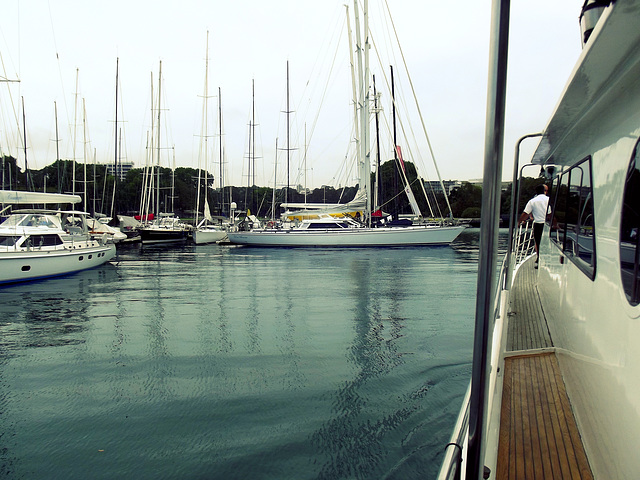 Yacht harbor, Rushcutters Bay
