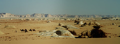 Le désert Blanc -White desert of Egypt