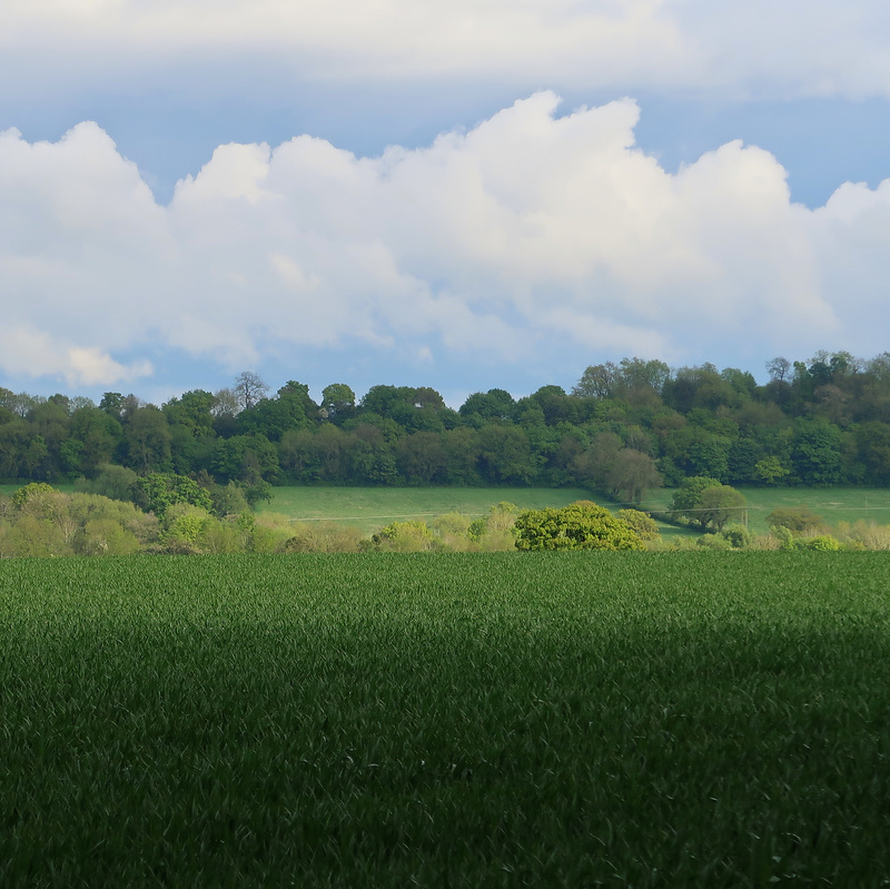 Sharp clouds