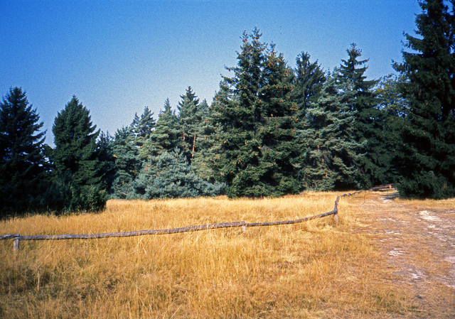 Wanderweg in der Eifel