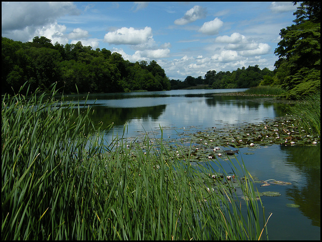 River Glyme at Blenheim