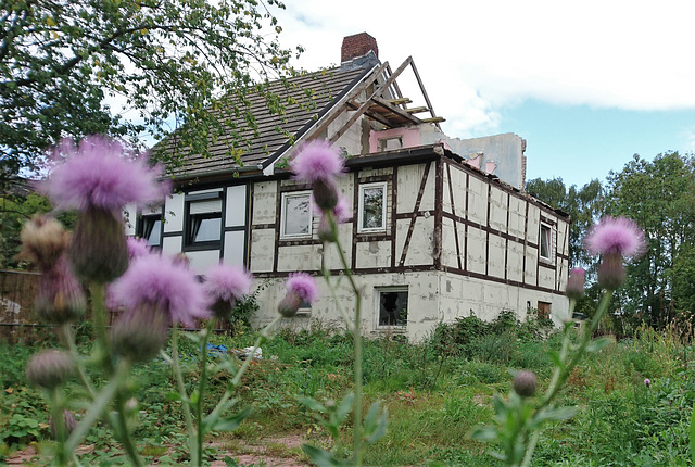 Dornröschenhaus