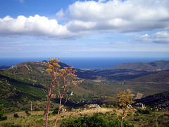 La Corse