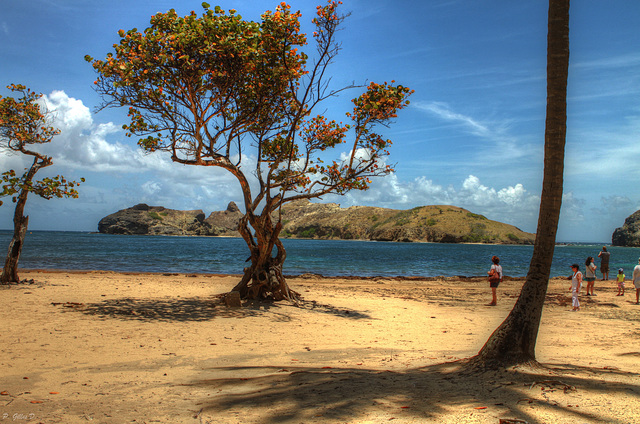 Jolie petite plage...