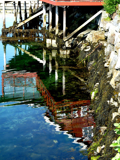 Bronnoysund Reflections