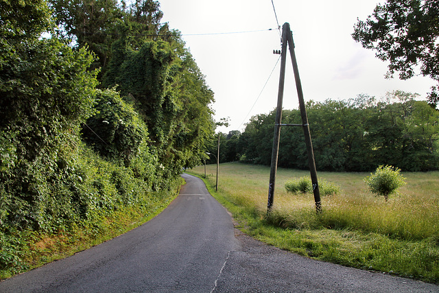 Heideweg (Fröndenberg) / 11.06.2022