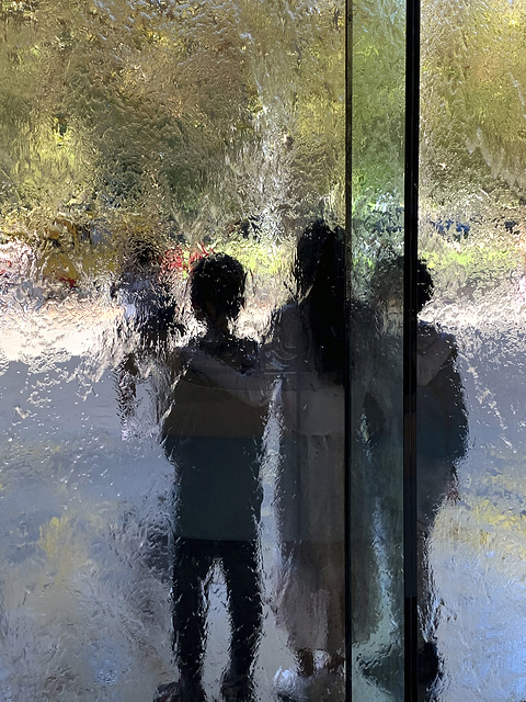 NGV Water Wall