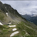 Vora l'estanyol