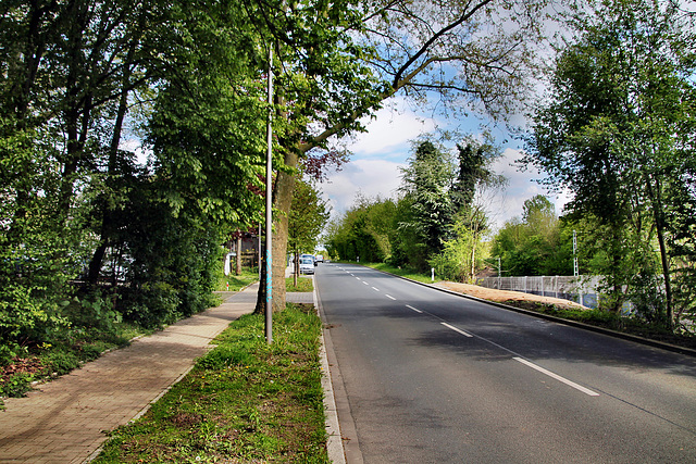 Auf der Prinz (Bochum-Harpen) / 27.04.2024