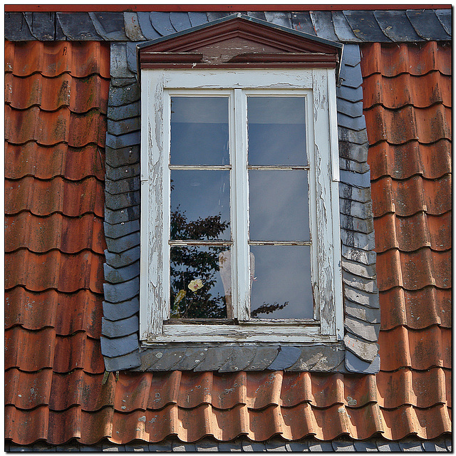 Dachfenster