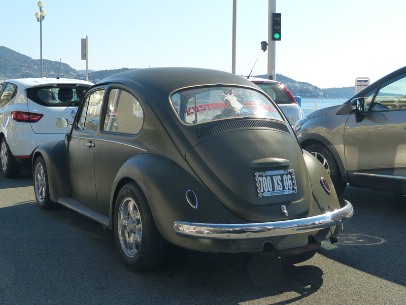 Nice Beetle - 20 April 2017