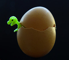 Dino-Baby knackt das Ei