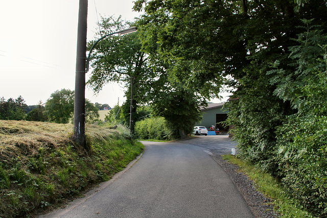 Heideweg (Fröndenberg) / 11.06.2022