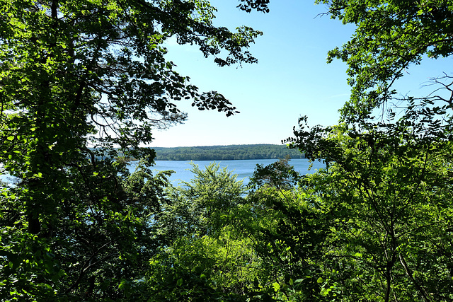 Frühling am Tollensesee