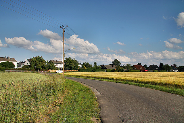 Heideweg (Fröndenberg-Ardey) / 11.06.2022