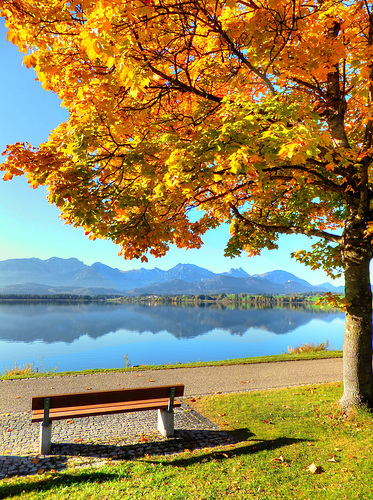 Herbst am Hopfensee... ©UdoSm