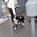 ssh / BtC - Bella having fun {1 of 3}
