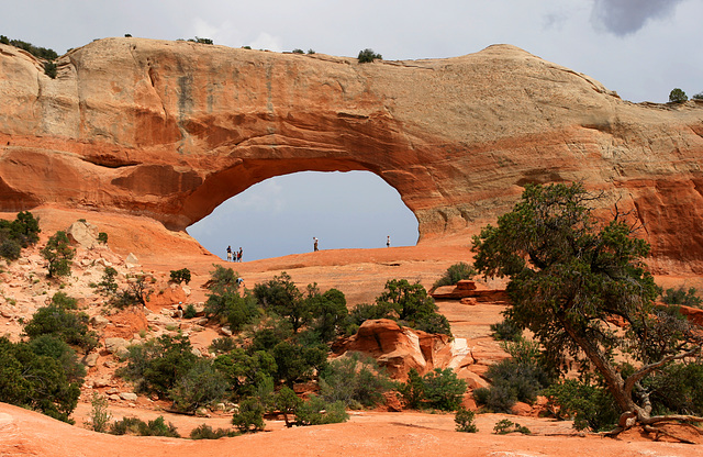 Wilson's Arch