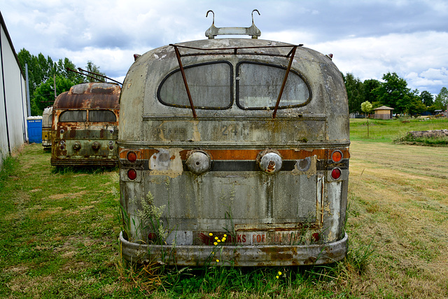 USA 2016 – Antique Powerland – Trolley buses