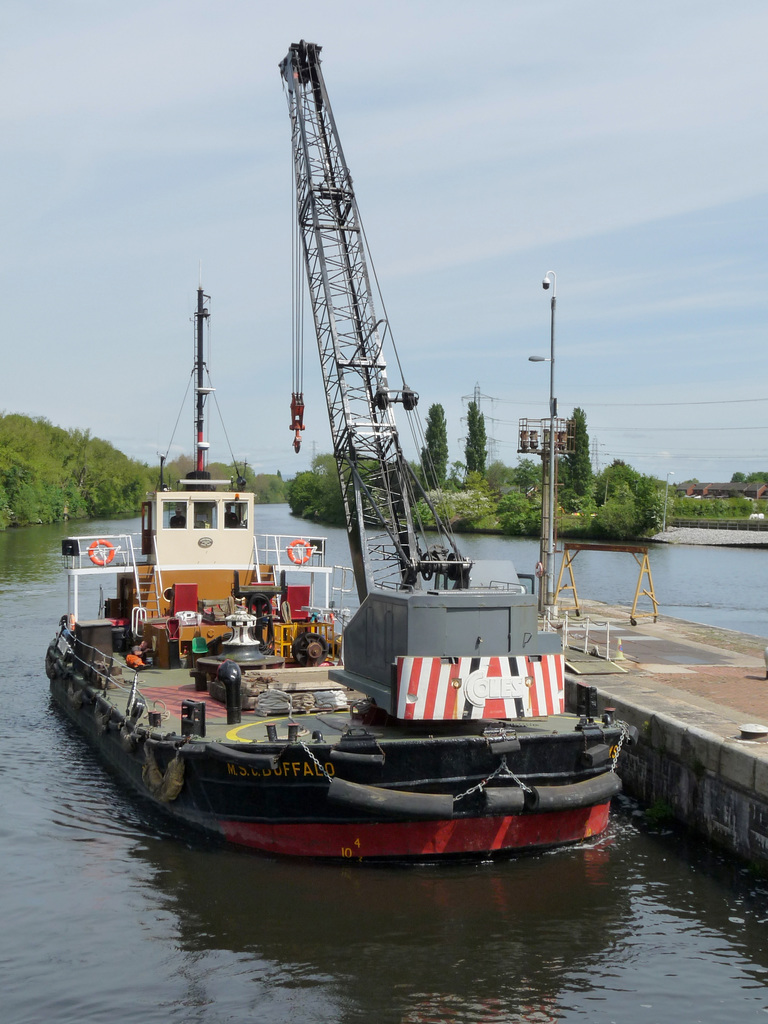 'Buffalo' in Irlam Lock