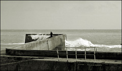 le vieux homme et la mer