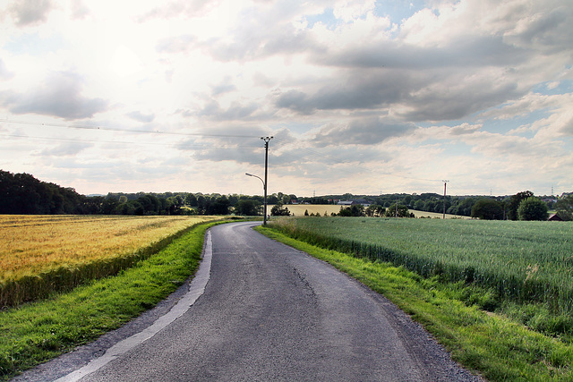 Heideweg (Fröndenberg-Ardey) / 11.06.2022