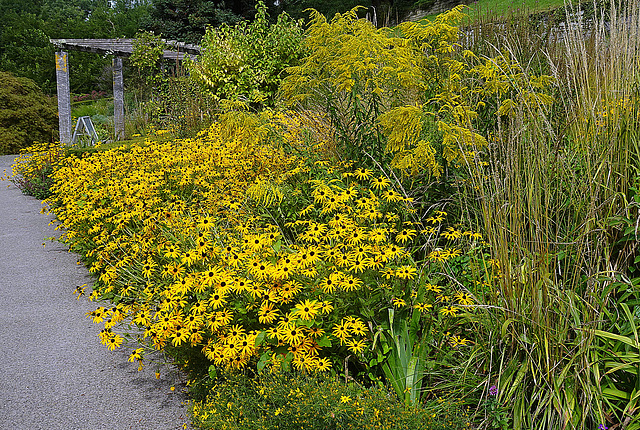 Vergoldete Natur