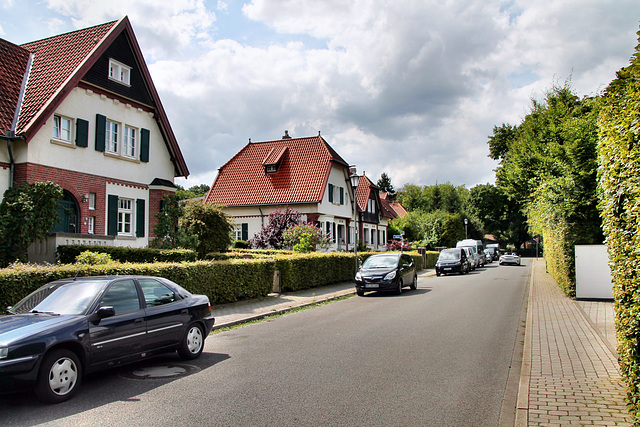 Haraldstraße (Krupp-Siedlung Brandenbusch, Essen-Bredeney) / 6.07.2023