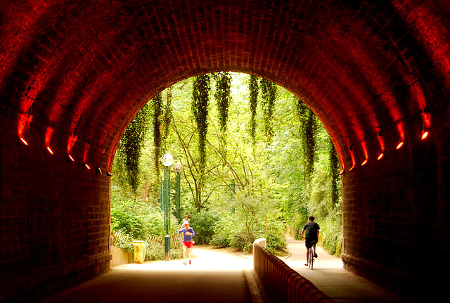 Walls of a disused railway tunnel in Paris