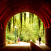 Walls of a disused railway tunnel in Paris