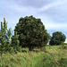 Landschaft am Neetzkaer See