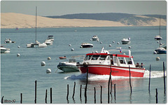 BASSIN D'ARCACHON