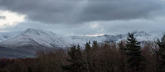 Snowdoniav6y