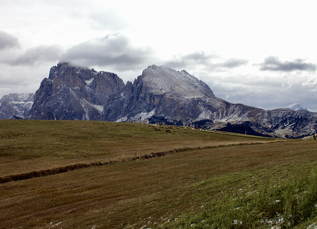 Auf der Seiser Alm