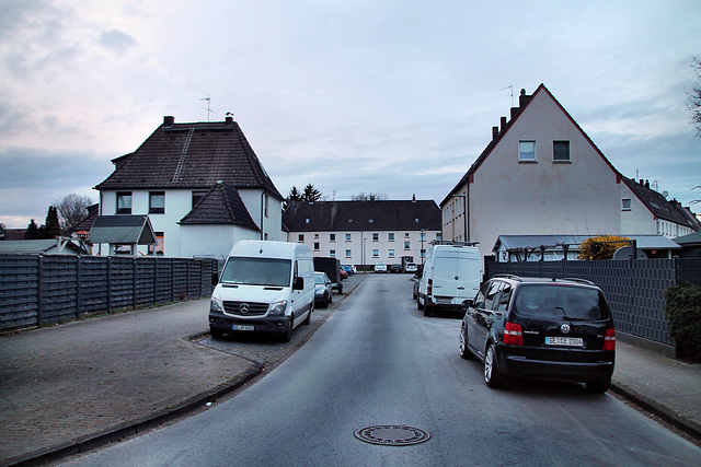 Phönixstraße (Gelsenkirchen-Horst) / 2.03.2024