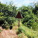 Schild im Wald statt Schilderwald