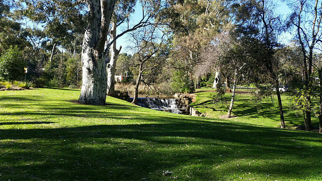 First Creek, Hazelwood Park, Adelaide, SA