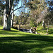 First Creek, Hazelwood Park, Adelaide, SA