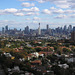 Sydney Skyline From Bondi Junction