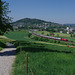 BÖ0029479