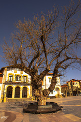 HBM. Desde una plaza de Plentzia