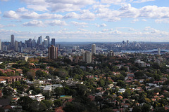 Sydney Skyline From Bondi Junction