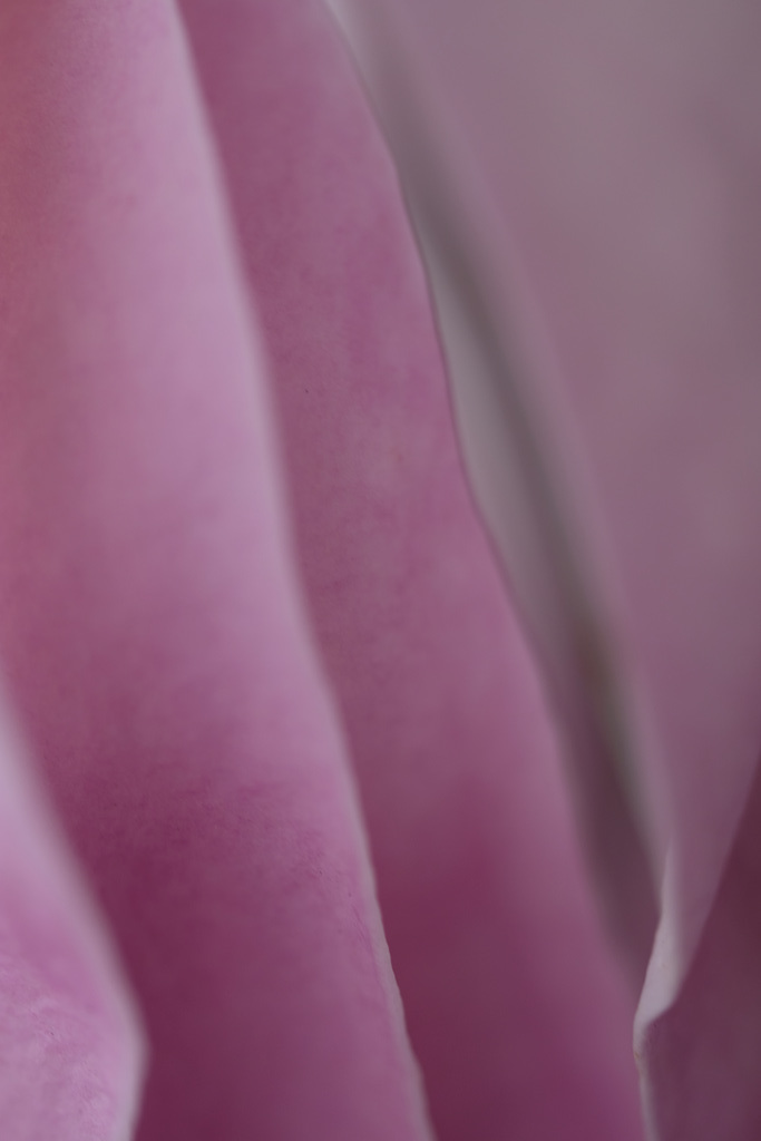 DSCF4702