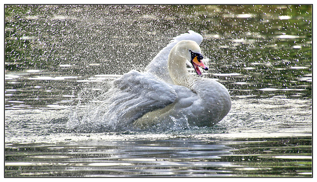 Taking a Bath