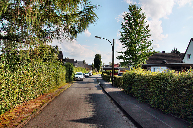 Schlesierstraße (Fröndenberg-Ardey) / 11.06.2022