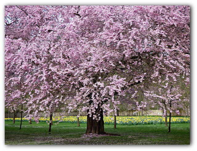 Frühling 2016